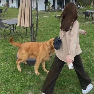 开门之前,意外之后